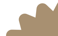Bg 4